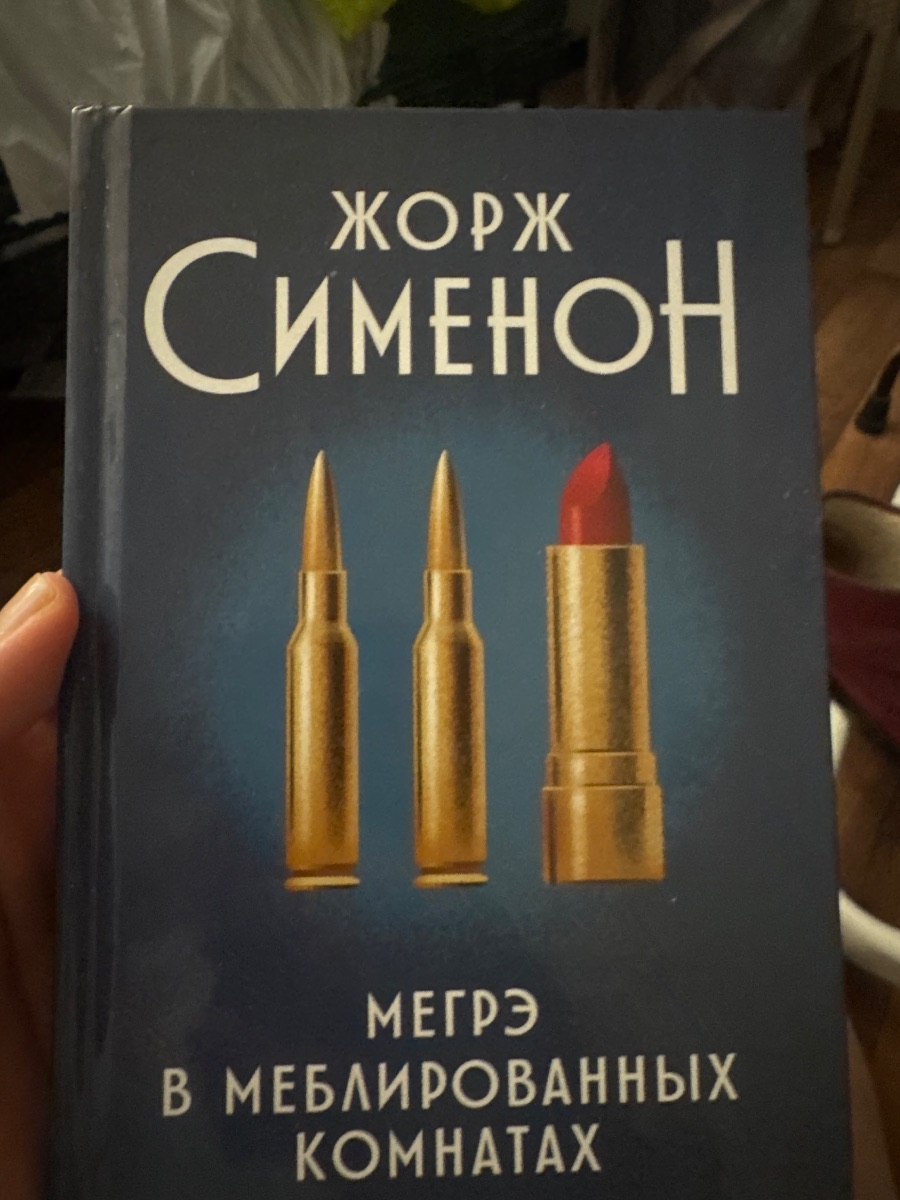 Обложка книги Мегрэ в мебели рованных комнатах
