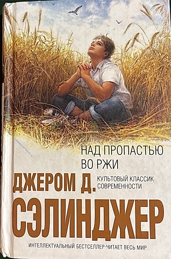 Обложка книги Над пропастью во ржи
