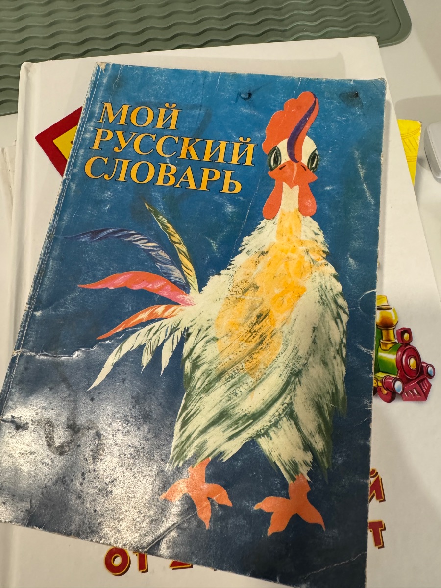 Обложка книги Мой русский словарь 