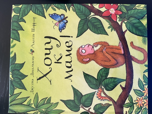 Обложка книги Хочу к маме